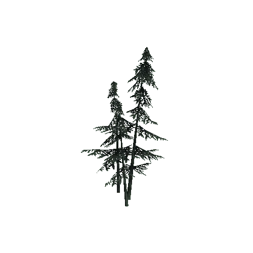 ConiferTreesGroup01LOD2 (TVE Backup)